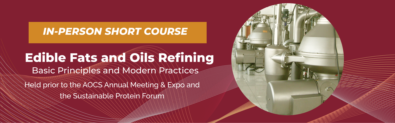 Edible Fats and Oils Refining: Basic Principles and Modern Practices 