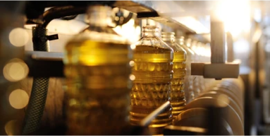 Edible oils in a plant